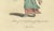Mid 18th Century European School, Italian Country Woman Costume Pavia Peasant Dress, 1749, Paper Engraving For Sale - Image 5 of 9