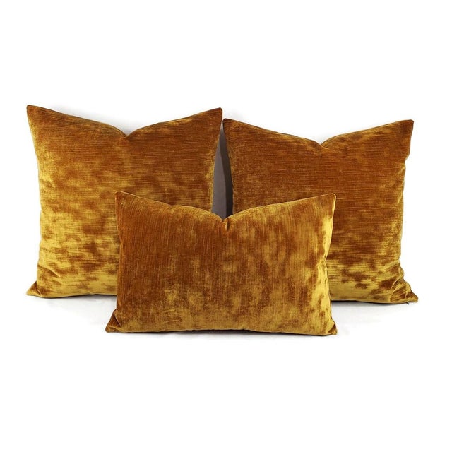 Kravet Kravet Chic Velour in Antique Gold Velvet Pillow Cover - 20" X 20" Silky Plush Gold Velvet Cushion Case For Sale - Image 4 of 6