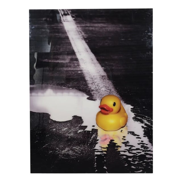 Ivana Vostrakova, Spring Swimming, 2013, Archival Pigment Print For Sale