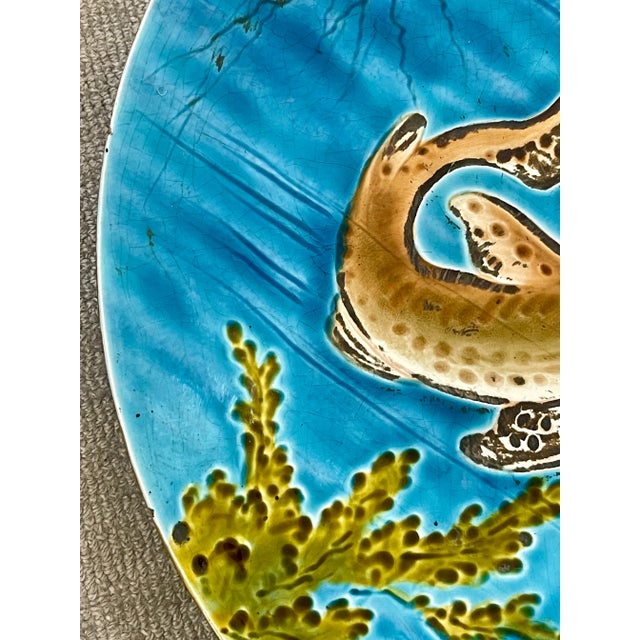 Majolica Marine Life Charger by Rare Schutz Cilli 19Th Century. For Sale In West Palm - Image 6 of 12