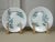 A beautiful pair of antique Italian botanical plates by Società Ceramica Richard, decorated in the Linneo pattern. Each...