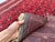 Red Fine Quality Vintage Afghan Basheri All-Over Lattice Rug - 5'3" X 3'1" For Sale - Image 8 of 8