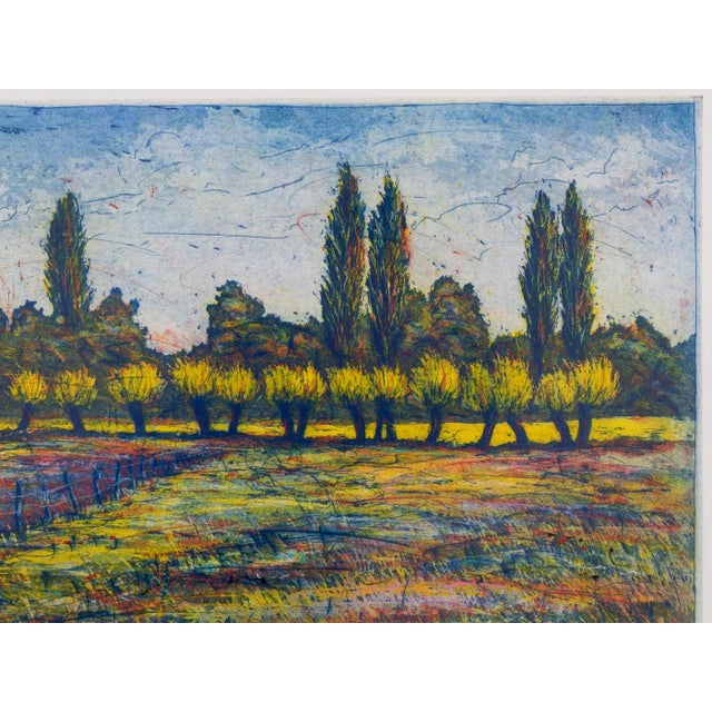 Gerhard Messemer, Weiden III, Color Etching on Paper, Framed For Sale - Image 6 of 12