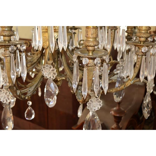 Early 20th Century French Louis XV Style Bronze and Crystal Chandlier 30 X 30 For Sale - Image 13 of 18
