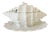 1970s Italian White Porcelain Conch Shell Tureen Set With Underplate & Ladle - 4 Pieces For Sale