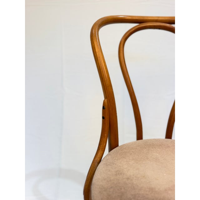 Wood Vintage Thonet Bentwood Café Chair With Upholstered Seat and Original Labels For Sale - Image 7 of 10
