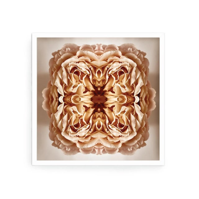 Not Yet Made - Made To Order "Ancien" Contemporary Original Op Art Botanical Print by Erin Derby For Sale - Image 5 of 8