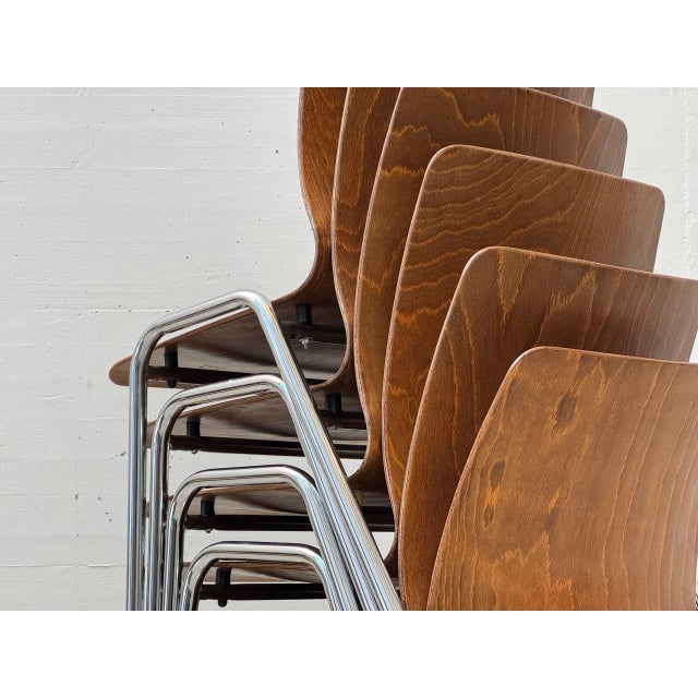 Wood Vintage Chair with Tubular Steel Frame by Kilo und Pagholz-Schale for Lignarit, 1960s For Sale - Image 7 of 17