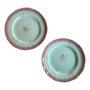 1950s Lowestoft Calyx Ware Adams Dinner Plates Vintage English China 10.25 - Set of Two (2)