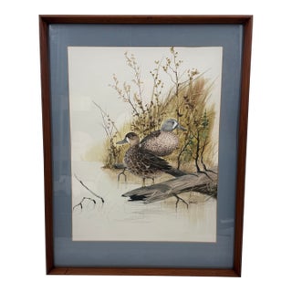 Vintage Original Duck Watercolor Painting For Sale