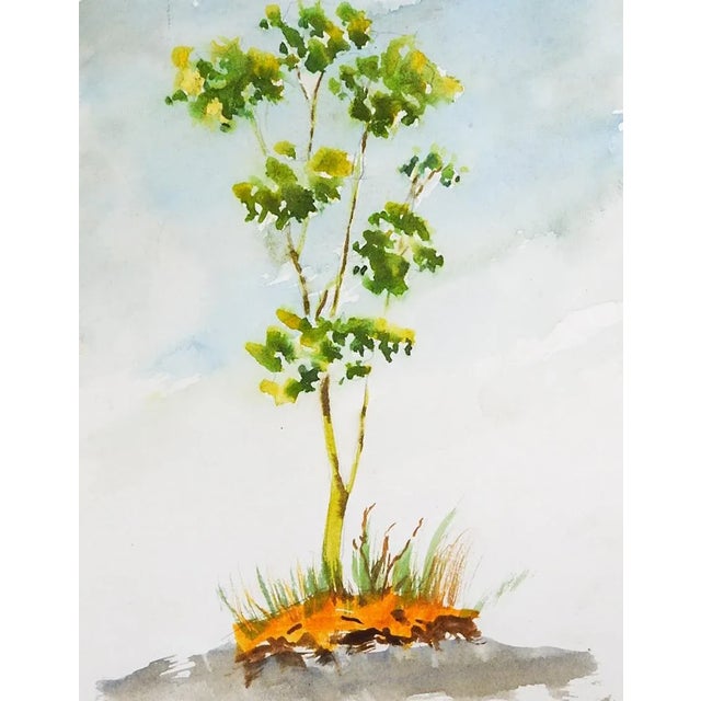 Pair of small impressionist watercolor on paper paintings of trees. By Ahuva Shweiki (20th century) Texas signed on verso...