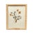 Tan 1893 Herbarium Botanical Specimens, Set of 12 For Sale - Image 8 of 18