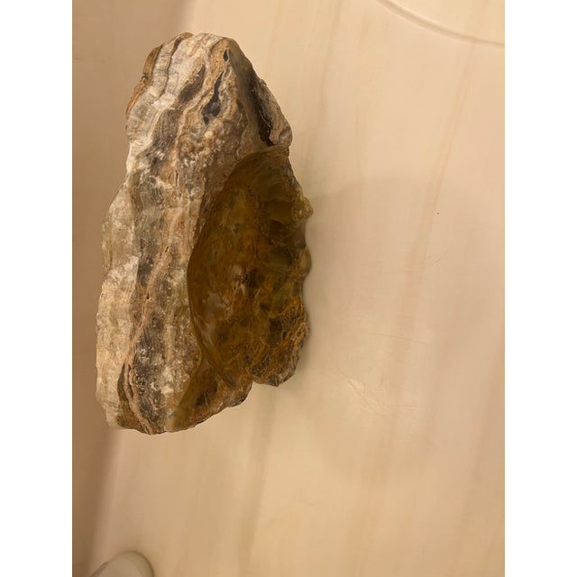 Mid Century Modern - Brutalist Italian Earth Tone Stone Ashtray / Trinket Holder For Sale - Image 4 of 12