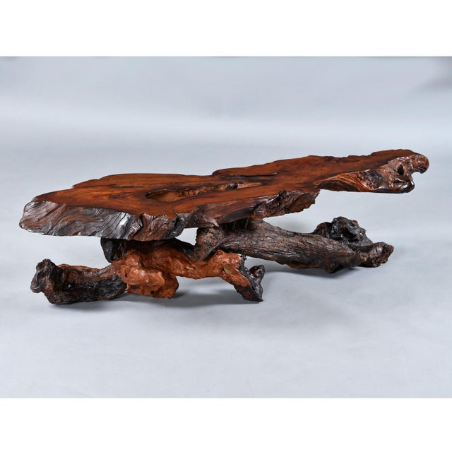 Nakashima Style Live Edge Redwood Burl Root Stump Slab Coffee Table For Sale - Image 14 of 18