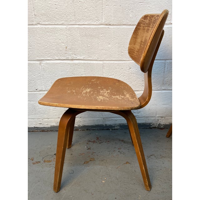 Mid 20th Century Set of Four Elegant Bentwood Chairs by Bruno Weil for Thonet For Sale - Image 9 of 13