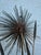 C Jere Signed 1979 Large Brass Pom Pom Wall Art Sculpture MCM For Sale - Image 10 of 12