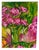 Large Signed Modern Floral and Fruit Still-Life Painting on Canvas, 24" For Sale - Image 4 of 6