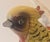 These are mid century made in Japan, by Inarko. You totally know I had to find out if it was a real bird. It's a Chinese...