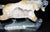 A hand-carved agate tiger sculpture, masterfully formed from a single piece of natural stone featuring a captivating open...