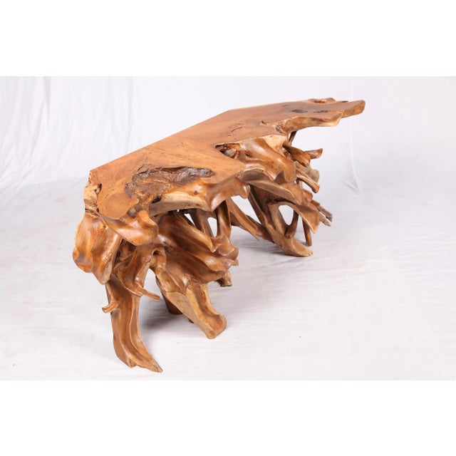 Contemporary Naturel Teak Root Console Table, 55" Long Light Brown For Sale - Image 3 of 6
