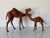 Vintage Leather Camel Sculptures – A Pair/ Sold For Sale - Image 11 of 11