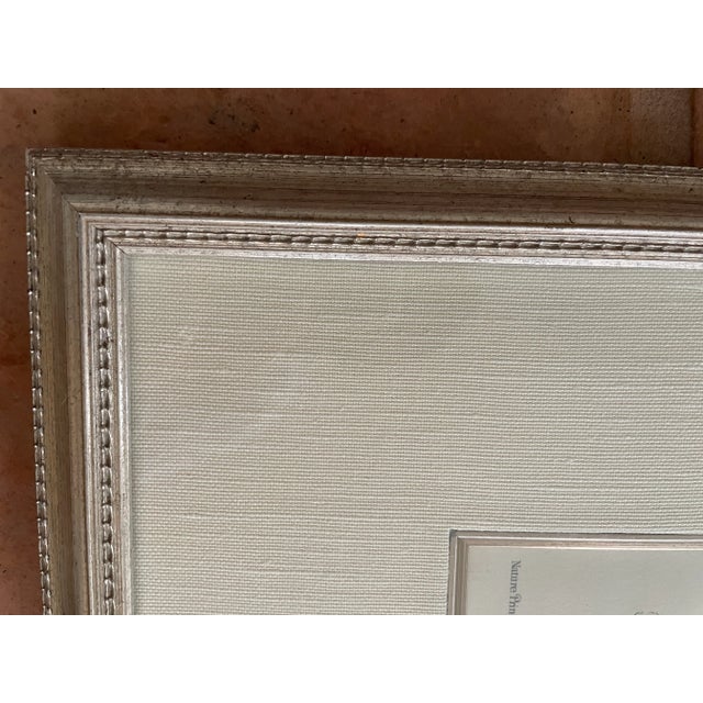 Vintage Henry Bradbury Fern Print, Framed For Sale - Image 9 of 11