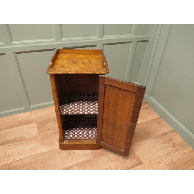 Wood Victorian Birch Bedside Cupboard For Sale - Image 7 of 8