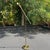 Vintage Adjustable Brass Reading Floor Lamp with Dimmer For Sale - Image 9 of 17
