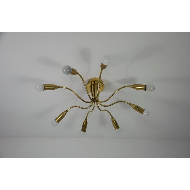 1950s Mid-Century Brass Sputnik Chandelier, Germany, 1950s For Sale - Image 5 of 8