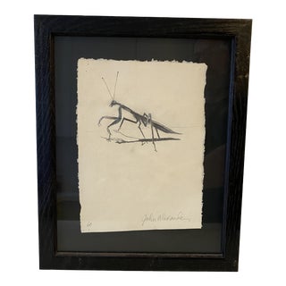 "Praying Mantis" Contemporary Insect Drawing by John Alexander, Framed For Sale