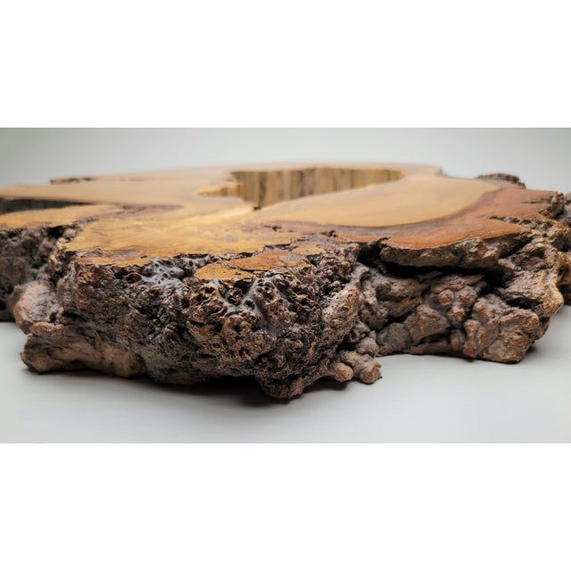 Live Edge Burlwood Mirror For Sale - Image 6 of 14