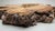 Live Edge Burlwood Mirror For Sale - Image 6 of 14
