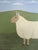 Contemporary 'Daphne' Original Naïve Style Animal Oil Painting by British Artist Matt Rix, Framed For Sale - Image 10 of 10