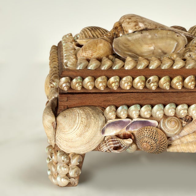 Antique English Seashell Encrusted Music Box For Sale In West Palm - Image 6 of 12