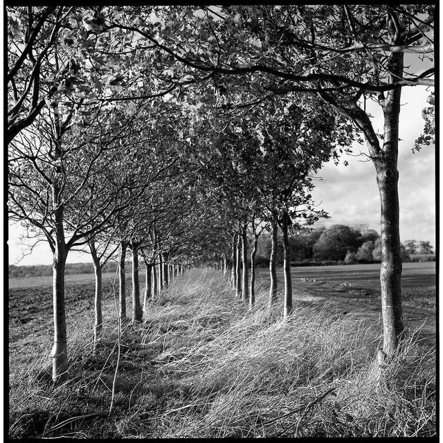 Not Yet Made - Made To Order Paul Cooklin, Occold Farm, Suffolk, Edition of 50 For Sale - Image 5 of 5