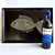 Mid 20th Century Couroc of Monterey Tray With Brass, Turquoise and Stone Inlay Fish For Sale - Image 12 of 15