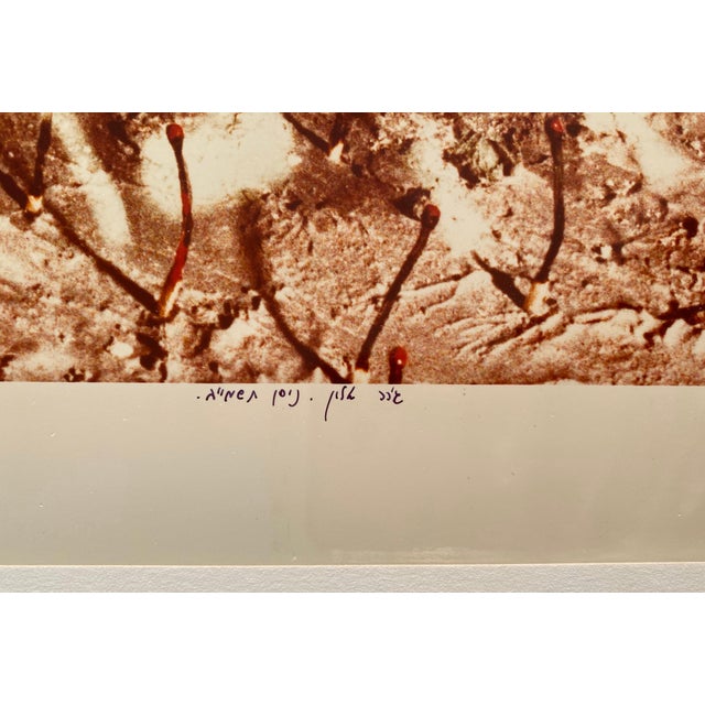 Gerard Allon, Vintage Color Photograph Hebrew "Slaves We Were" Signed C Print Photo Israeli, 1982 For Sale In Miami - Image 6 of 9