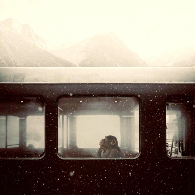 Gold Mr Strange, To Be or Not to Be II, 2022, Giclée Print For Sale - Image 8 of 8