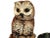 1980s Late 20th Century Ceramic Sitting Owl Figurine Model For Sale - Image 5 of 8