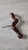 Brown Vintage French Laurent Siret Corkscrew For Sale - Image 8 of 12