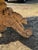 A Masterpiece 18th Century French Country Bleached Oval Dining Table or Center Table For Sale - Image 15 of 18