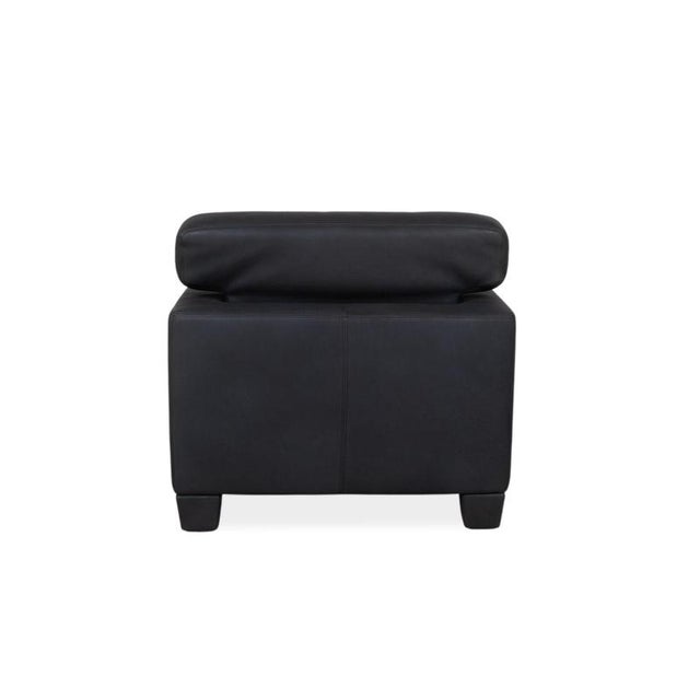 De Sede Ds 17 / Wk 612 Leather Armchair Black For Sale - Image 9 of 11