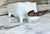 Mid 20th Century Made in Japan Mid-Century El Toro Coin Bank Bull For Sale - Image 5 of 17