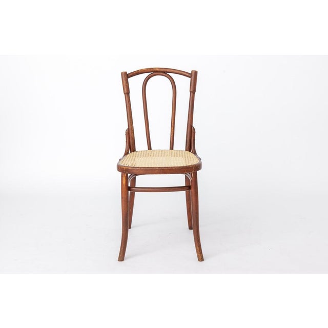 Antique Austrian Bentwood Chair in Rattan in the Style of Thonet No. 56, 1930s For Sale - Image 4 of 14