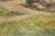 Realism Country Cottage - Figure in the Door With Geese - Landscape by Joshua Fisher For Sale - Image 3 of 11