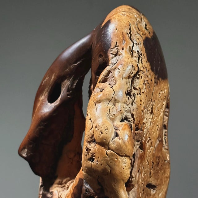 Vintage Abstract Modernist Hand Carved Burl Wood Sculpture on Stand For Sale In Philadelphia - Image 6 of 8