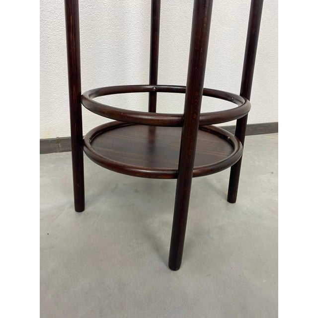 Bentwood Plant Stands attributed to Thonet, 1890s, Set of 2 For Sale - Image 5 of 10