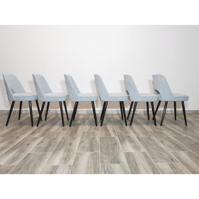 Dining Chairs by Oswald Haerdtl for Ton, 1950s, Set of 6 For Sale - Image 12 of 18