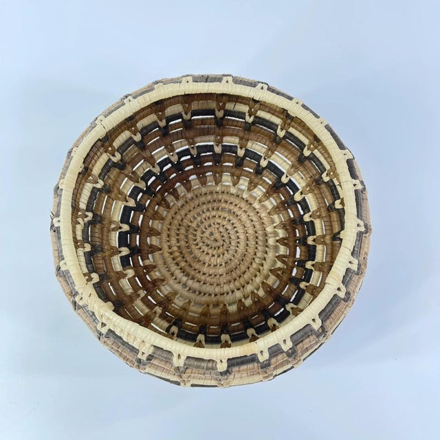 African Early 20th Century Zulu Basket South Africa 9inch MATTER COLLECTION For Sale - Image 3 of 8