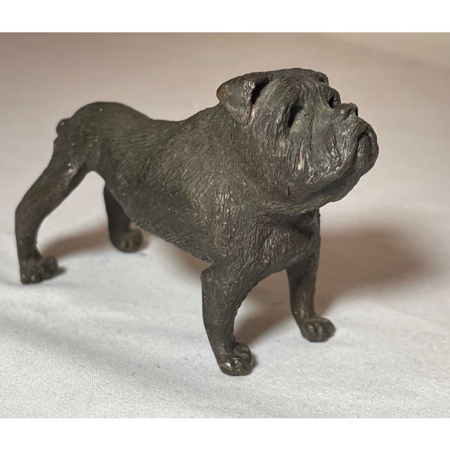 Figurative Antique Austrian Miniature Bronze Dog Bulldog Statue Figure Sculture Realistic For Sale - Image 3 of 12